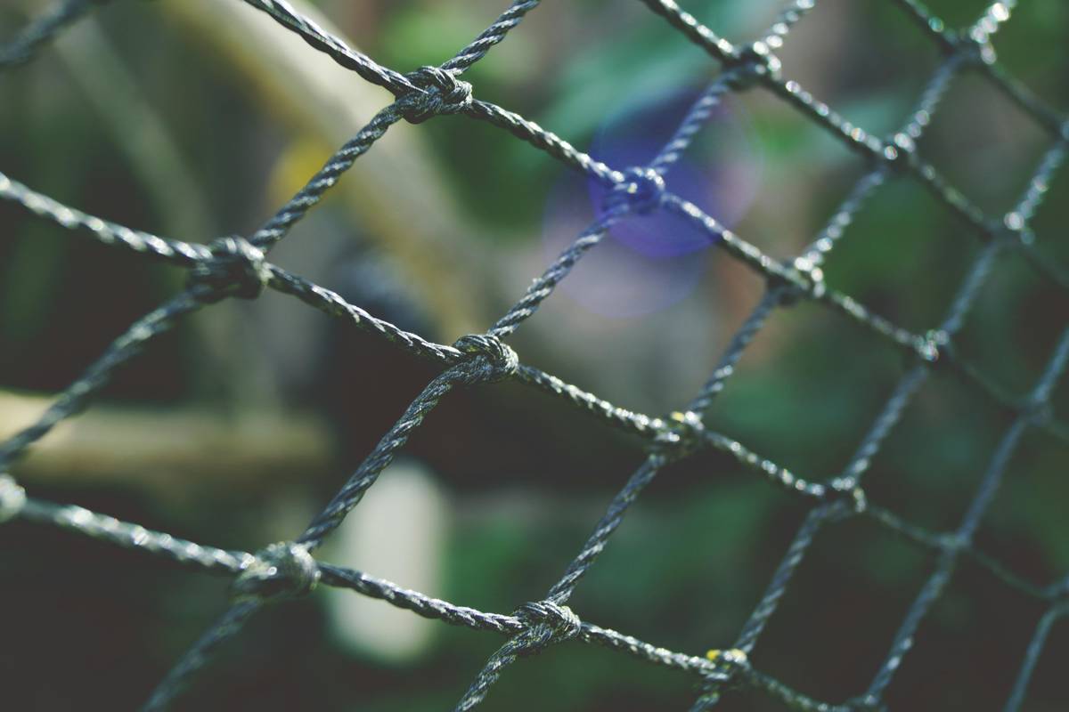 gig safety net worker how to: Why Your Passport Shouldn’t Be Your Only Backup Plan